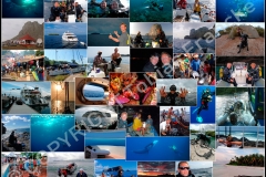 Diving-Trips_Collage_web