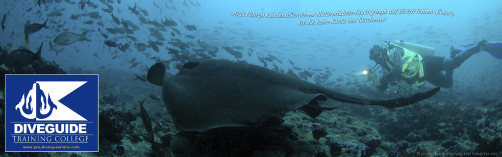 Professioneller Diveguide