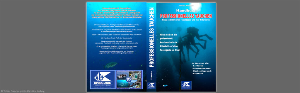 Buch Idee