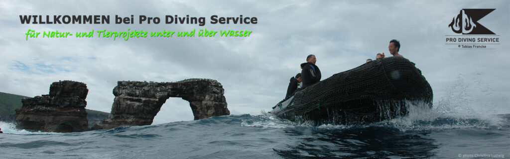 Tobias Francke, PRO DIVING SERVICE Für Natur- und Tierprojekte unter und über Wasser mehr als Vierzig Jahre Taucherfahrung und elftausend Tauchgängen Erfahrung, sowie mehr als zwanzig Jahre Professionell.