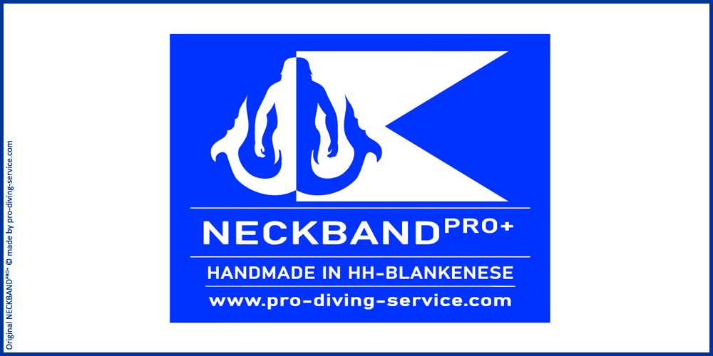 NBPro+_Logo_webpage