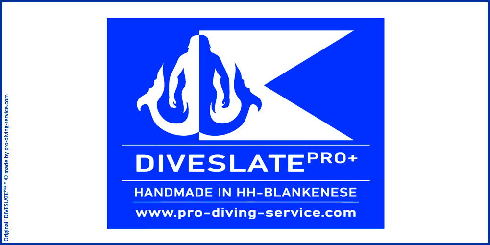 Webpage_DS_Logo