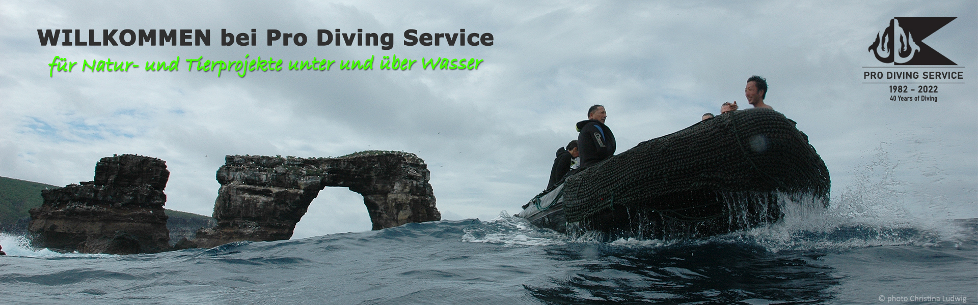 Pro Diving Service