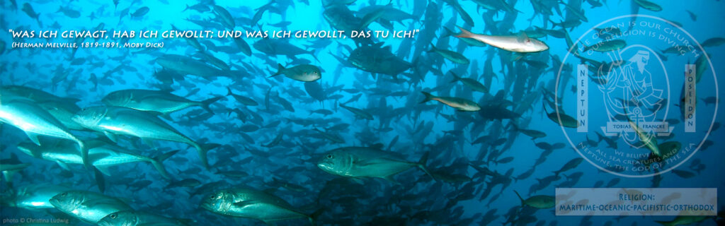Einstellung